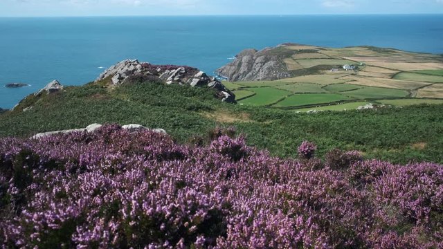 Looking out over Penbwchdy from Garn Fawr Iron Age Fort Fishguard Pembrokeshire Wales 