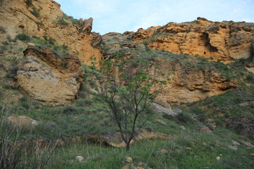 rock formations in the mountains