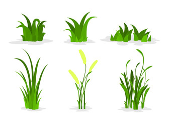 a set of grass flat design isolate white background