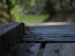 wooden boardwalk near the lake