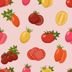 Seamless vector background with various sorts, shapes and colors of tomatoes.