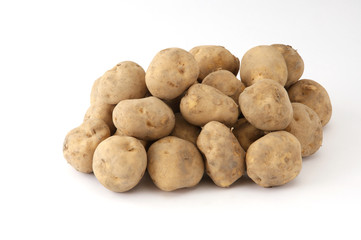 じゃがいも02_白バック