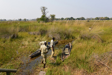 Okawango Delta, Bostwana, 
