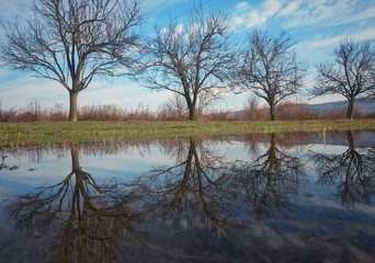 Obraz premium lake in fall season reflecting colorfully forest on the day