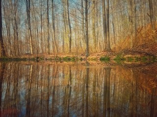 lake in fall season reflecting colorfully forest on the day