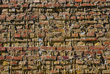 Fototapeta premium Light brown textured brick wall is good for background