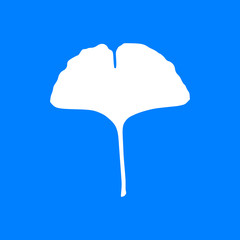 Ginkgo Blatt und Hintergrund