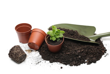 Garden shovel for gardening and plant with pots in soil, dirt pile, cultivation concept isolated on white background