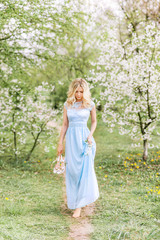 beautiful woman in a blue long dress walks in a spring blooming garden