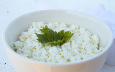 White bowl with fresh homemade cottage cheese with a sheet of currants on a white background. Healthy diet.
