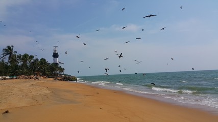 ponnani beach