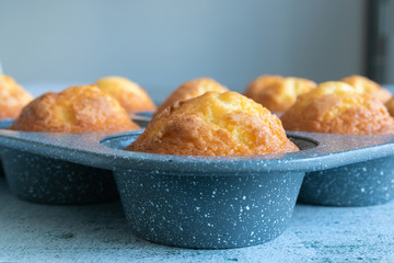 Closeup homemade magdalenas,the typical spanish muffins