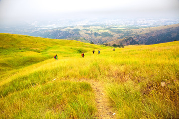 Fototapeta premium Misty morning in Alps, tourist tracking across colourful field at the foot of a high mountain, italian alpine summer landscape. Idyllic springtime scenery in blooming meadow on Apennine Peninsula.
