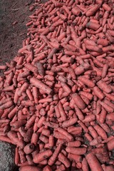 carrot in the street