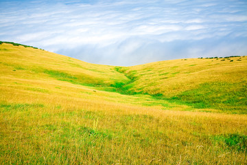 Morning in Alps above the clouds, colourful field at high mountain plateau, italian alpine summer landscape. Idyllic springtime scenery in blooming meadow on Apennine Peninsula. Green path 