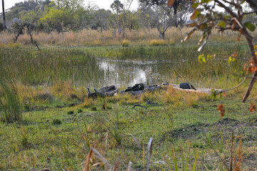 Okawango Delta , Bostwana