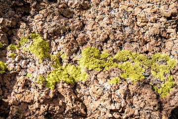 Background texture rock stone with moss