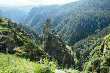 Fototapeta premium Beautiful nature of Caucasus mountains in summer, green forest on rocks, on the road to thermal springs Gil Su, Russia