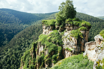 Beautiful nature of Caucasus mountains in summer, green forest on rocks, on the road to thermal springs Gil Su, Russia