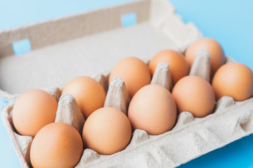 Close up chicken eggs in carton box on blue background.