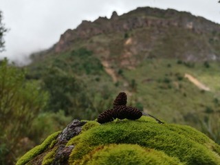 rocks in the mountains