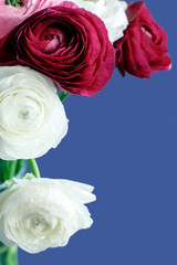 Pink, white and fuchsia flowers on blue background