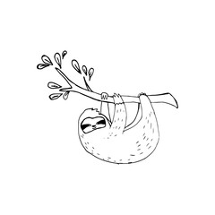 Sloth, tropical animals. A sloth in a tree, a sloth. Vector illustration in doodle style. Isolated objects on the former background © Olena