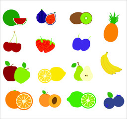 collection of fruit illustrations. illustration for web and mobile design.