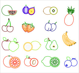 collection of fruit illustrations. illustration for web and mobile design.