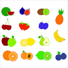 collection of fruit illustrations. illustration for web and mobile design.
