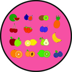 collection of fruit illustrations. illustration for web and mobile design.