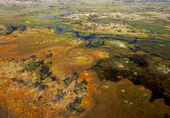  Okavangodelta Botswana Afrika