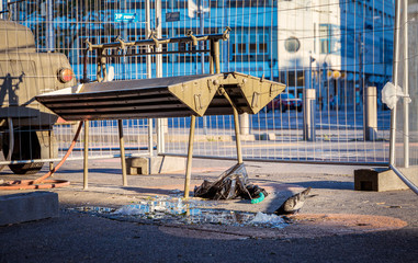 Pigeon drinking water that leaked from a military water supply