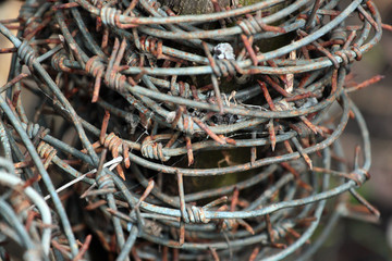 Old rusty tangled barbed wire