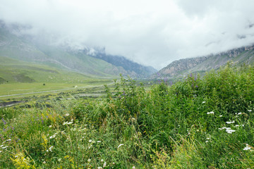 Green summer mountains landscape in Dargavs, North Ossetia - Alania, Caucasus, Russia