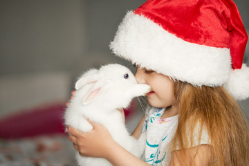 Cute little girl child in Santa hat is holding a little fluffy white rabbit in his arms. Domestic pet care on Christmas holidays