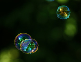 Soap bubbles in a dark blurry tone with reflection on the surface. Concept - Rainbow Hopes