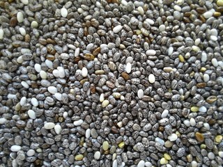 Chia seeds macro looking like little cracked ctones