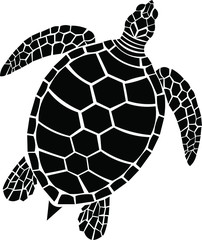 Turtle, animal vector isolated design elements on white background. Concept for logo, icon, print