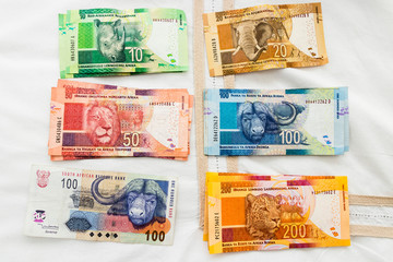 South African colorful banknotes money. BIG Five animals