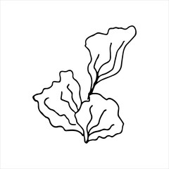 Algae. World Ocean Day. Fish and marine life. Hand drawn. Vector illustration in doodle style. Isolate on a white background. Coloring book for children