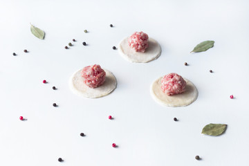 on a white background lay blanks for modeling dumplings: tortillas with meat and spices. sculpt dumplings