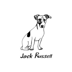 Fototapeta premium Thoroughbred dog Jack Russell. The dog is a friend of man. Vector illustration in doodle style. Hand drawing. Isolate on a white background