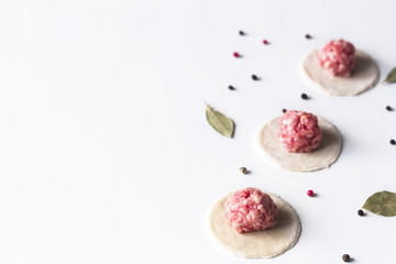 on a white background lay blanks for modeling dumplings: tortillas with meat and spices. sculpt dumplings, place for text