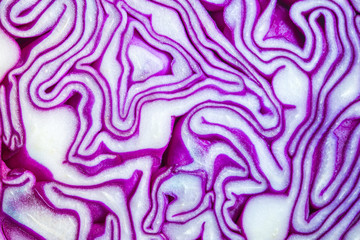 Fototapeta na wymiar Red cabbage portion macro background