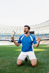 professional soccer player in blue and white uniform with sports cup standing on knees on football pitch and shouting at stadium © LIGHTFIELD STUDIOS