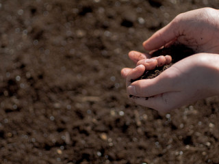 Hands of agriculture cultivating, sowing and taking care of the land so that its fruits