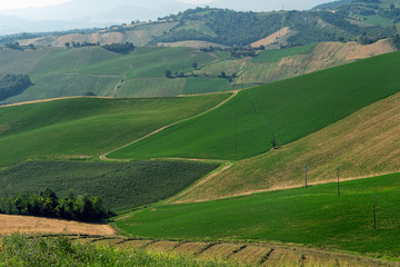 Country landscape near Medesano, Parma, at summer