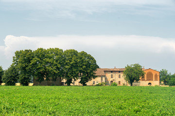 Fototapeta na wymiar Country landscape near Carpaneto, Piacenza, at summer