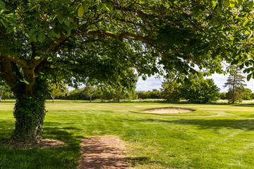 Fototapeta na wymiar golf course in summer